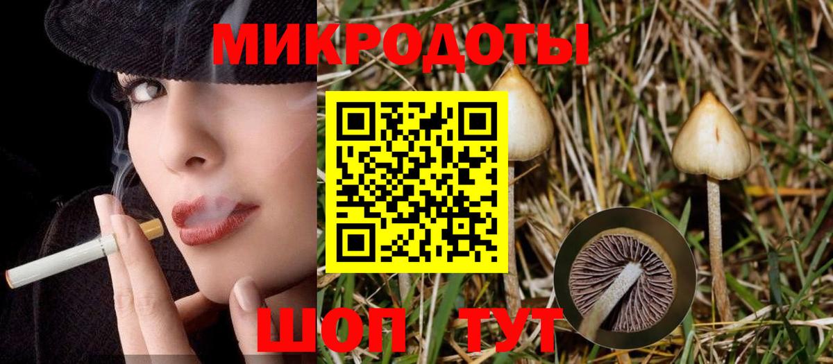 Псилоцибиновые грибы Magic Shrooms  Вход с VPN  продажа наркотиков  Якутск 